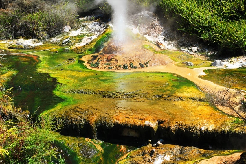 Steam rising from a vent and vibrant coloured rocks in Rotorua