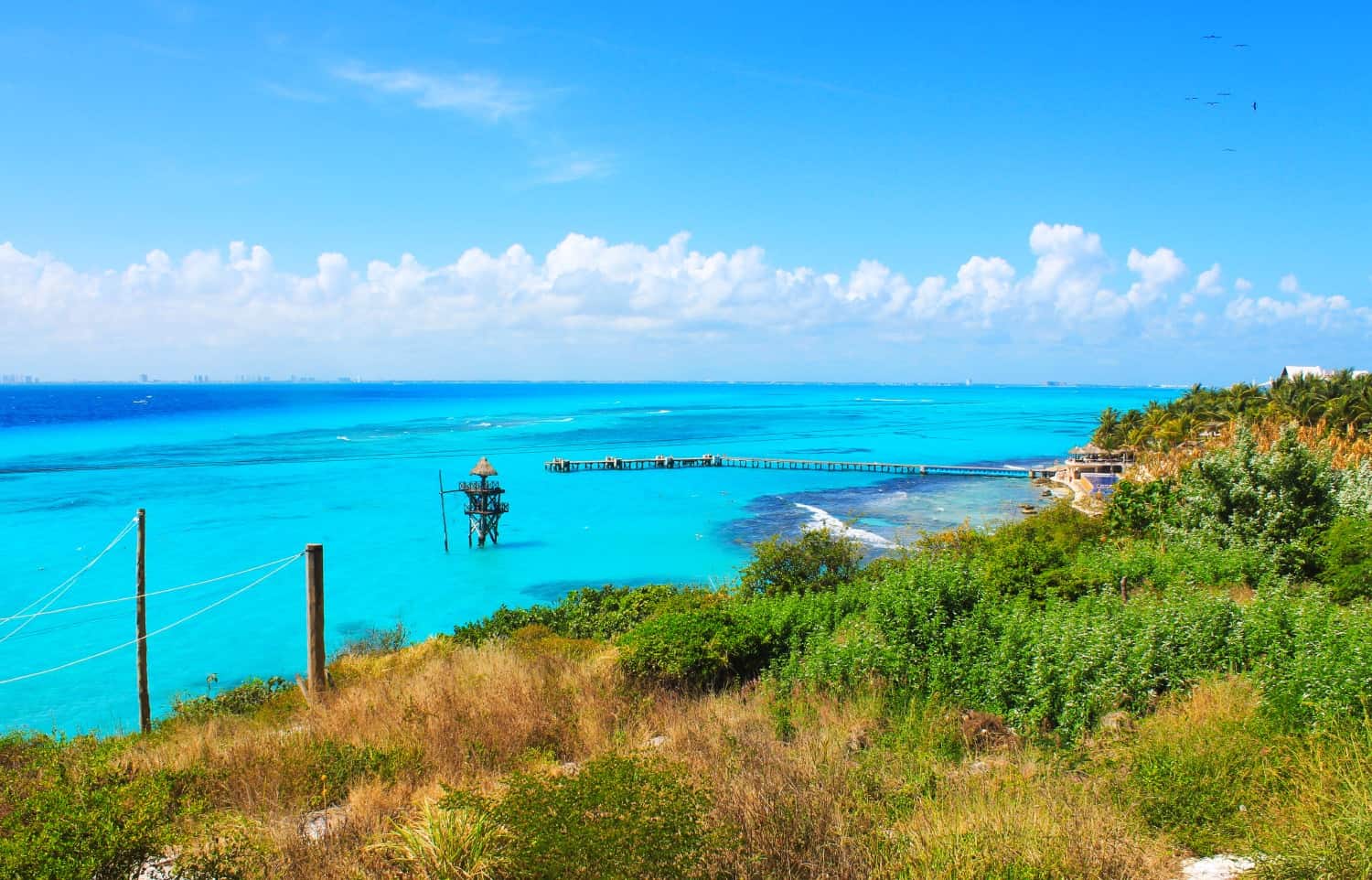 Isla Mujeres in Cancun - Visit a Vibrant Tropical Island with