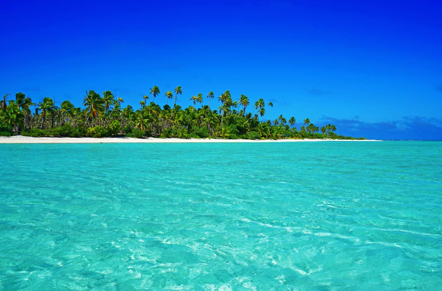 The lagoon in Aitutaki, the Cook Islands. It definitely has to be the prettiest place I've ever visited
