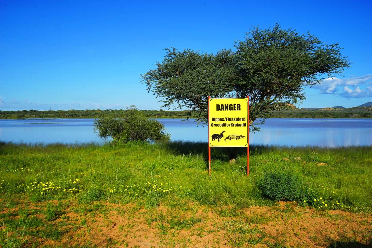 Hippo Crocodile Warning Sign Namibia