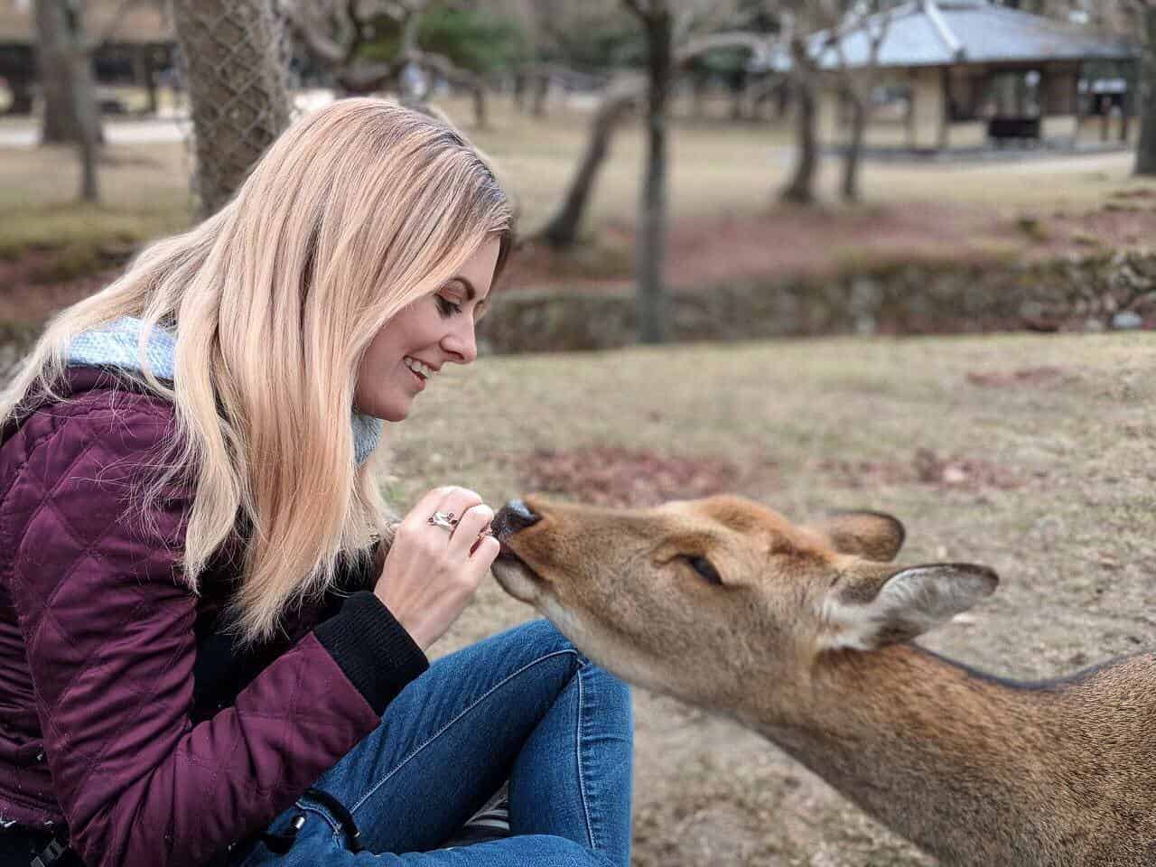 lauren feeding deer in Nara
