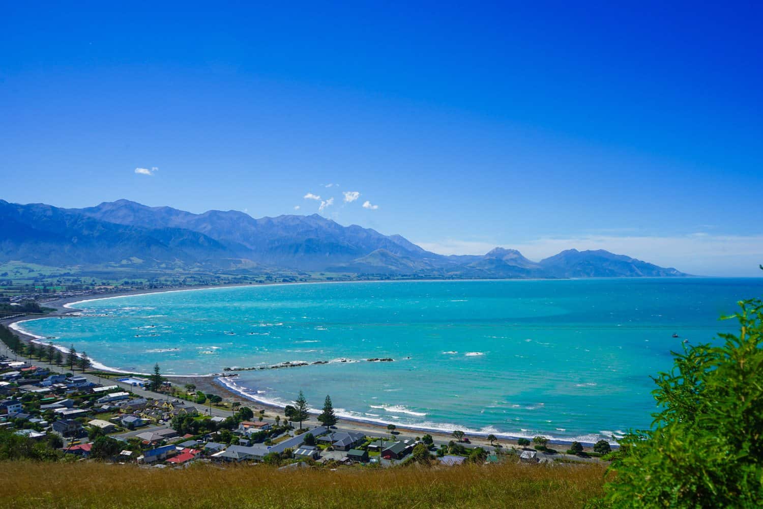 Sweeping view of Kaikoura, New Zealand, from a hillside at one end of town, overlooking the large bay, houses, and mountains in the distance.