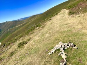 Reflections on Walking My First Camino