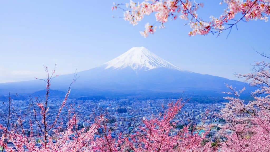 21 Spectacular Things to Do in Tokyo, Japan – Never Ending Footsteps