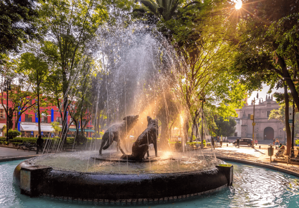 3 places to visit in mexico city